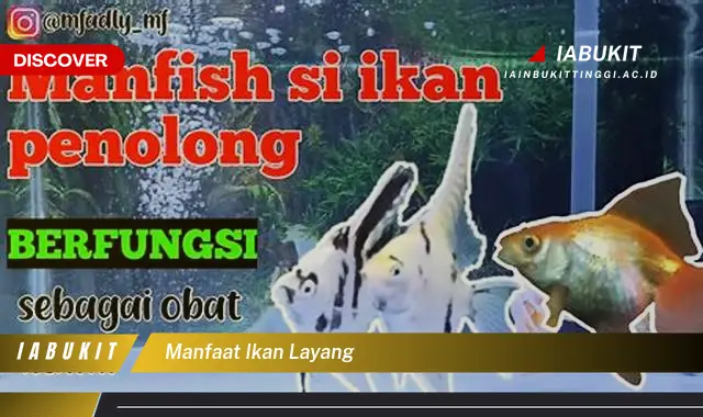 manfaat ikan layang manfaat ikan layang