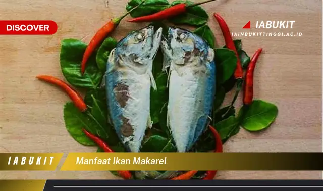 manfaat ikan makarel