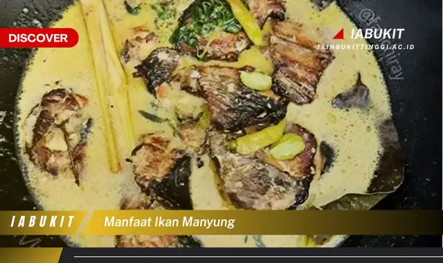 manfaat ikan manyung