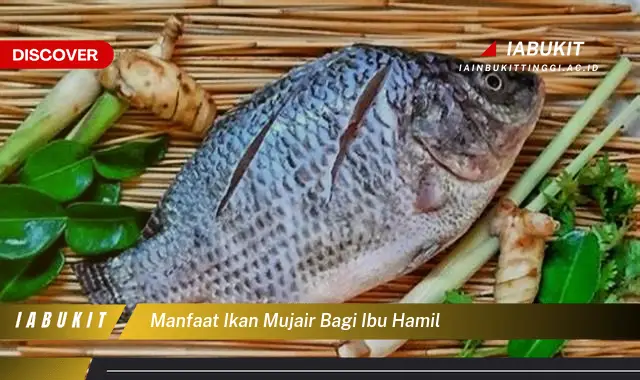 manfaat ikan mujair bagi ibu hamil