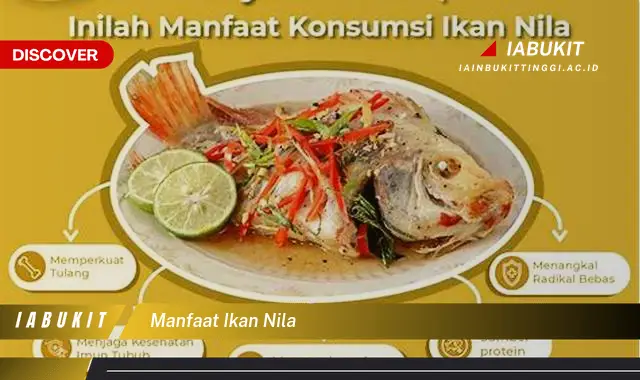 manfaat ikan nila