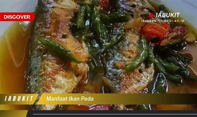 manfaat ikan peda