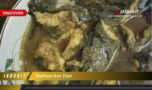 manfaat ikan tilan