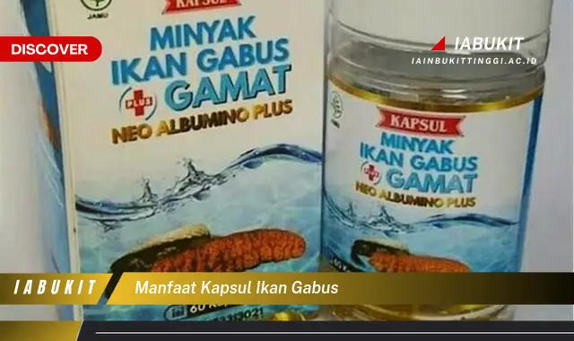 manfaat kapsul ikan gabus