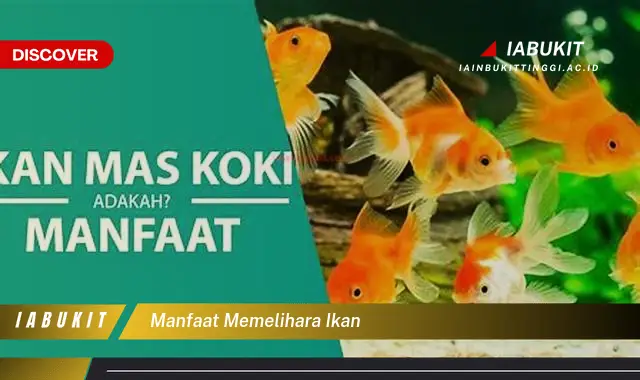 manfaat memelihara ikan