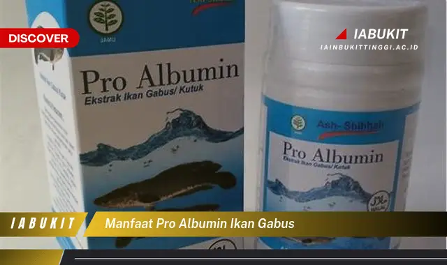 manfaat pro albumin ikan gabus