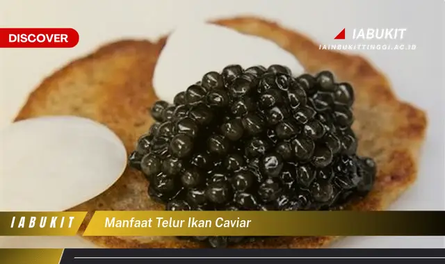 manfaat telur ikan caviar