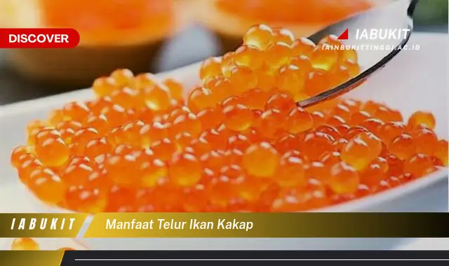 manfaat telur ikan kakap