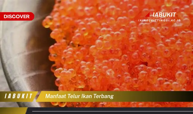 manfaat telur ikan terbang