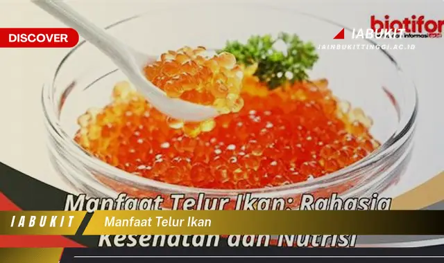 manfaat telur ikan