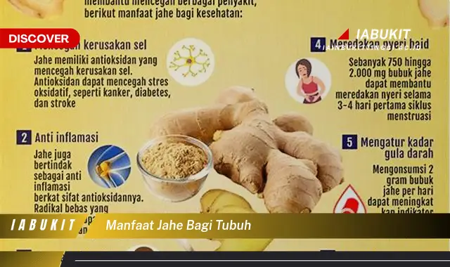 manfaat jahe bagi tubuh