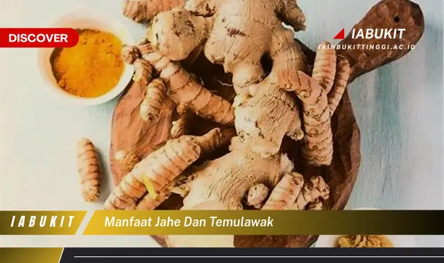 manfaat jahe dan temulawak