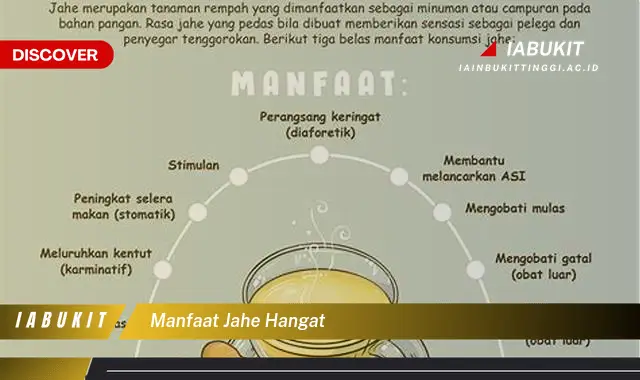 manfaat jahe hangat