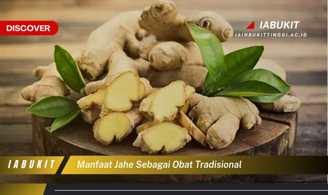 manfaat jahe sebagai obat tradisional