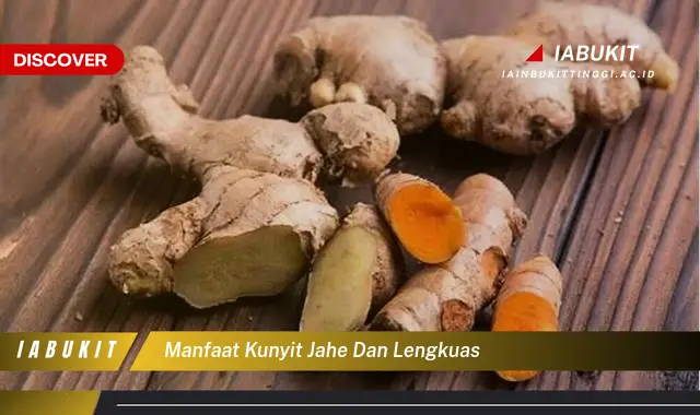 manfaat kunyit jahe dan lengkuas