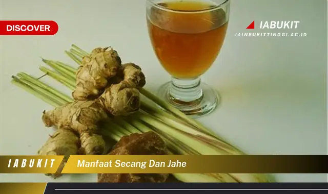 manfaat secang dan jahe