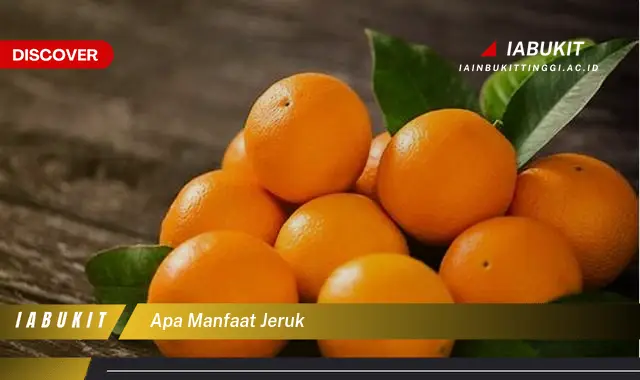 apa manfaat jeruk