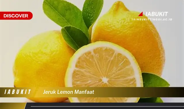 jeruk lemon manfaat