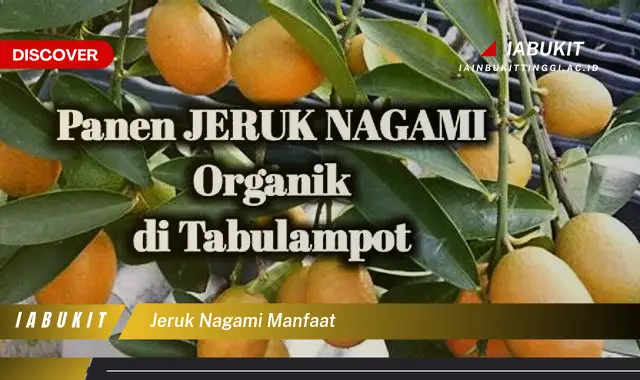 Temukan 7 Manfaat Jeruk Nagami yang Jarang Diketahui - Discover