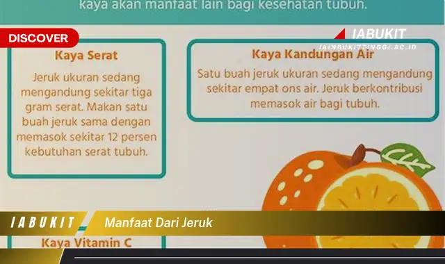 manfaat dari jeruk