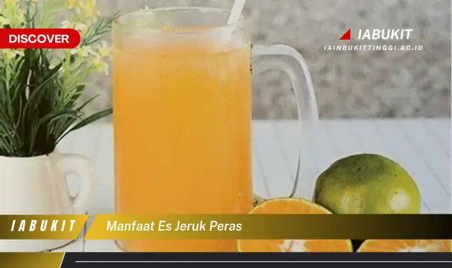 manfaat es jeruk peras