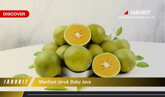 manfaat jeruk baby java