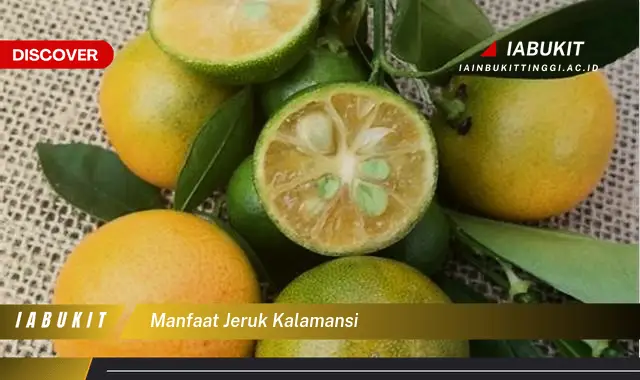 Ketahui 7 Manfaat Jeruk Kalamansi yang Jarang Diketahui - Discover