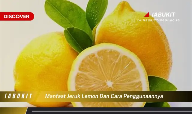 manfaat jeruk lemon dan cara penggunaannya