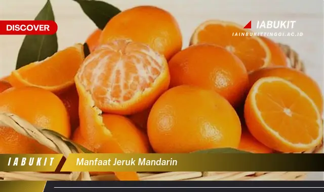 manfaat jeruk mandarin