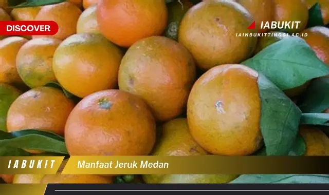 manfaat jeruk medan