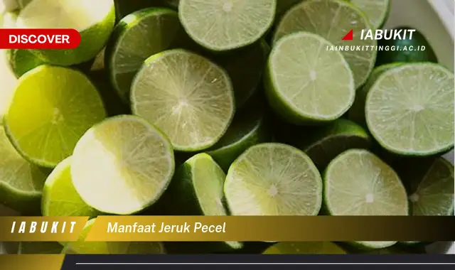 Intip 7 Manfaat Jeruk Pecel yang Jarang Diketahui - Discover