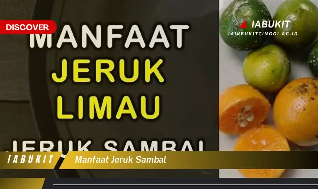 manfaat jeruk sambal