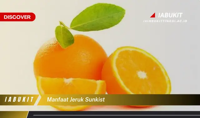 manfaat jeruk sunkist