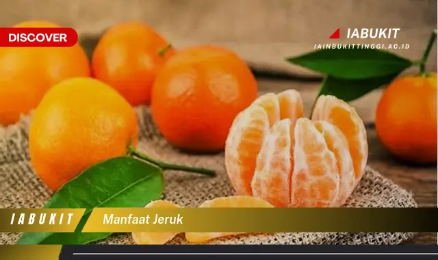 manfaat jeruk