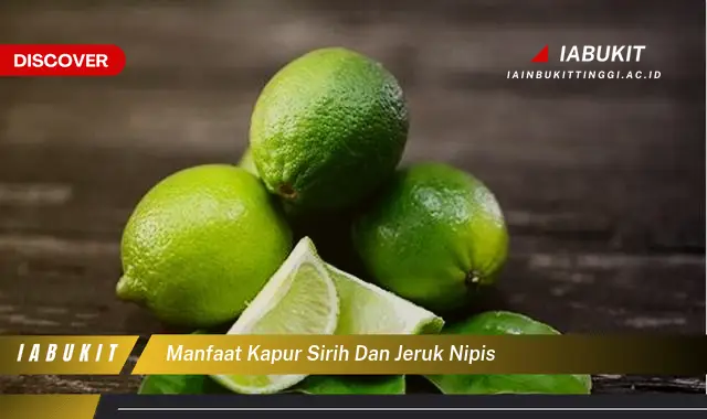 manfaat kapur sirih dan jeruk nipis manfaat kapur sirih dan jeruk nipis
