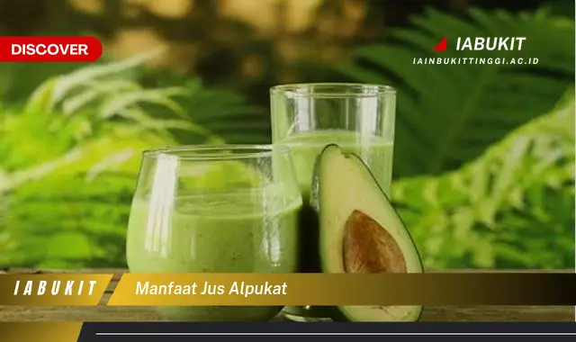 manfaat jus alpukat