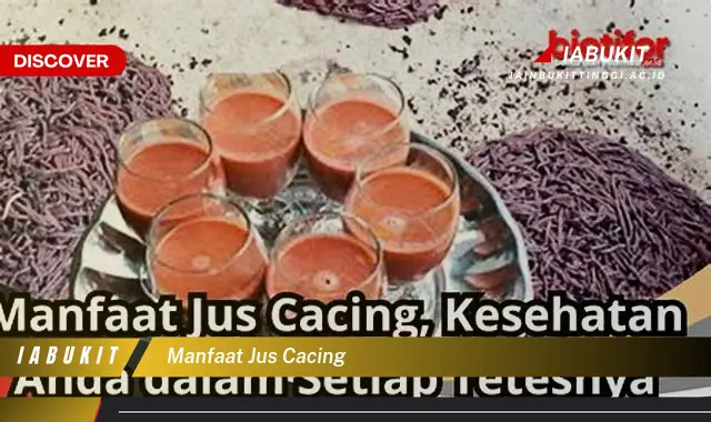 manfaat jus cacing