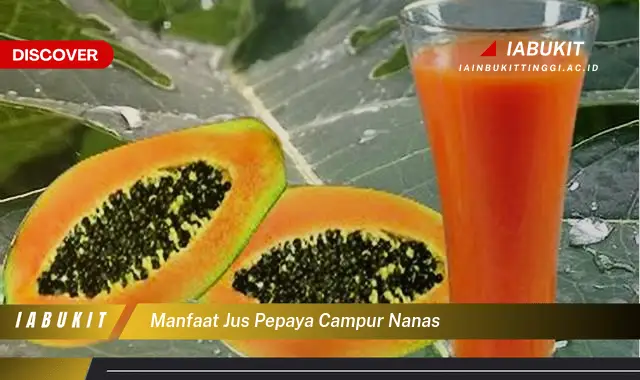 manfaat jus pepaya campur nanas