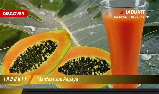 manfaat jus pepaya