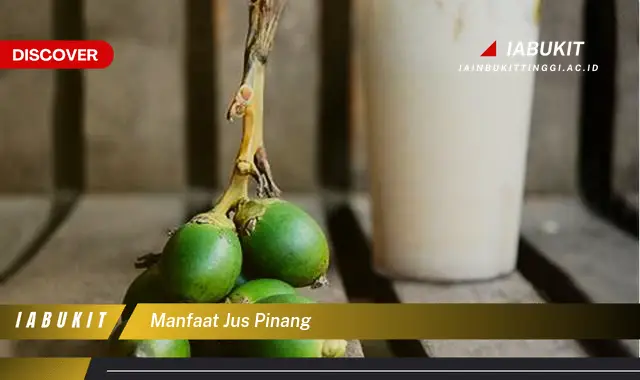 manfaat jus pinang