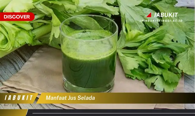 manfaat jus selada