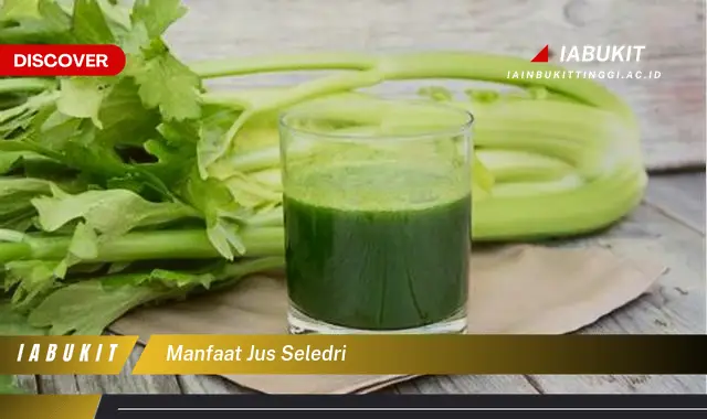 manfaat jus seledri