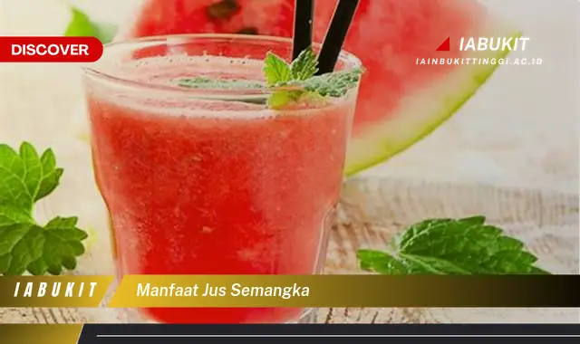 manfaat jus semangka