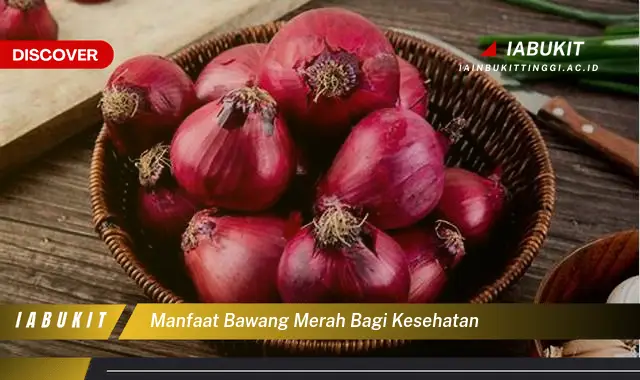 manfaat bawang merah bagi kesehatan