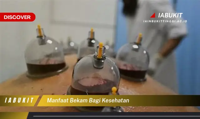 manfaat bekam bagi kesehatan manfaat bekam bagi kesehatan
