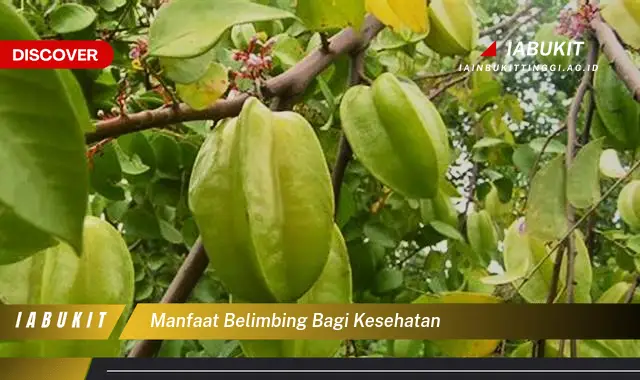 manfaat belimbing bagi kesehatan