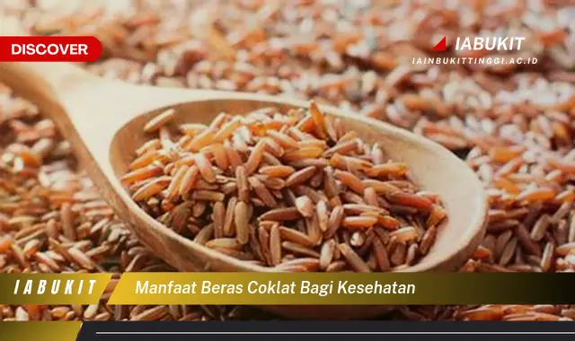 manfaat beras coklat bagi kesehatan manfaat beras coklat bagi kesehatan