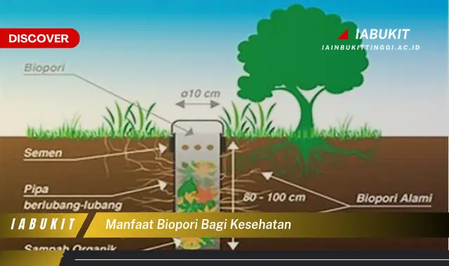 manfaat biopori bagi kesehatan