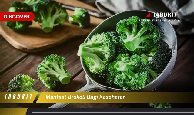 manfaat brokoli bagi kesehatan