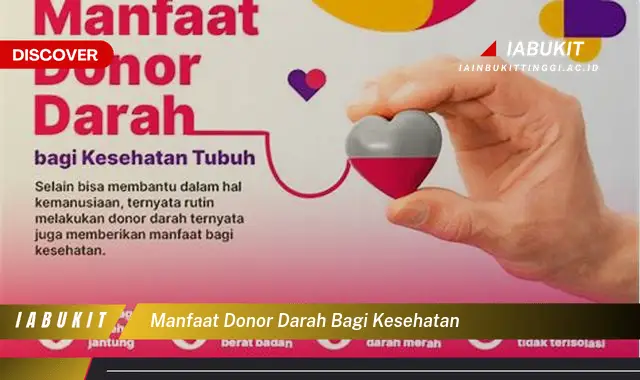 manfaat donor darah bagi kesehatan